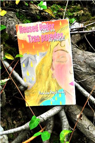 Trasparedesdecristal