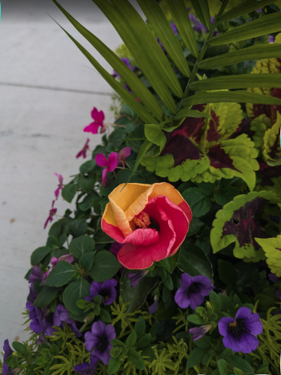 Floral arrangement